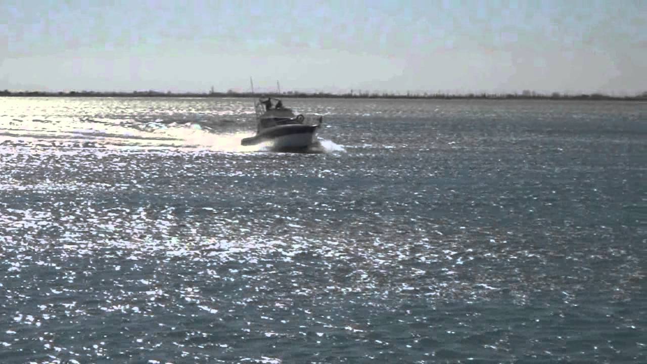 sportdeltafishing barco rodman 11mts