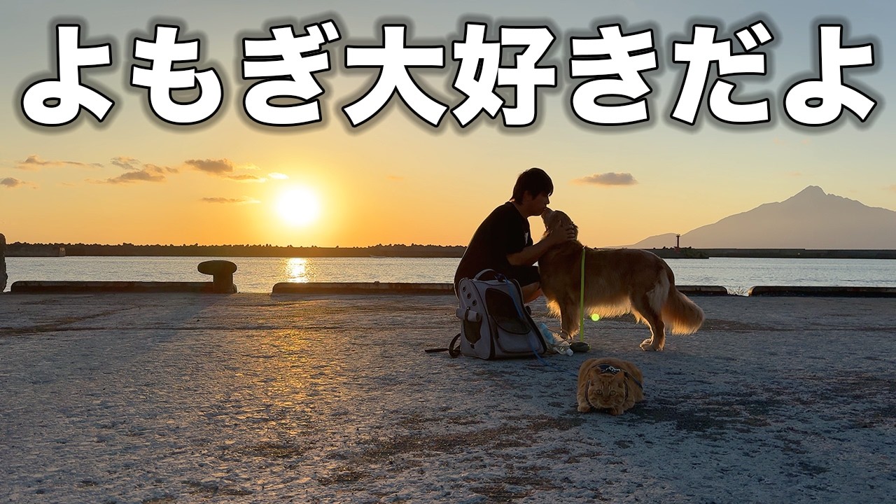 【利尻・礼文】最果ての離島で過ごすかけがえのない愛犬との時間が素敵すぎました【車中泊】