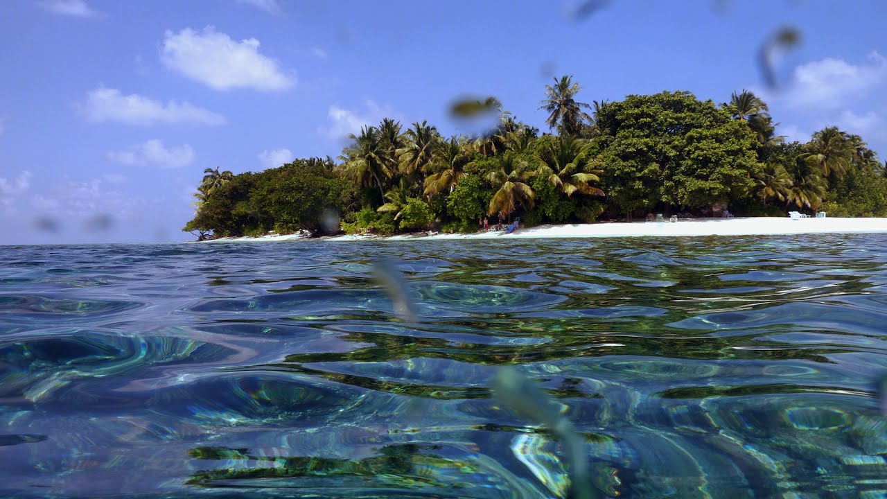 Schnorcheln und Tauchen rund um Madoogali im Nord Ari Atoll der Malediven