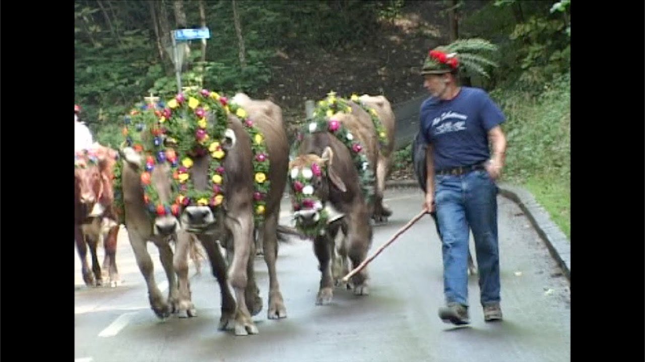 Almabtrieb Hohenems 2004