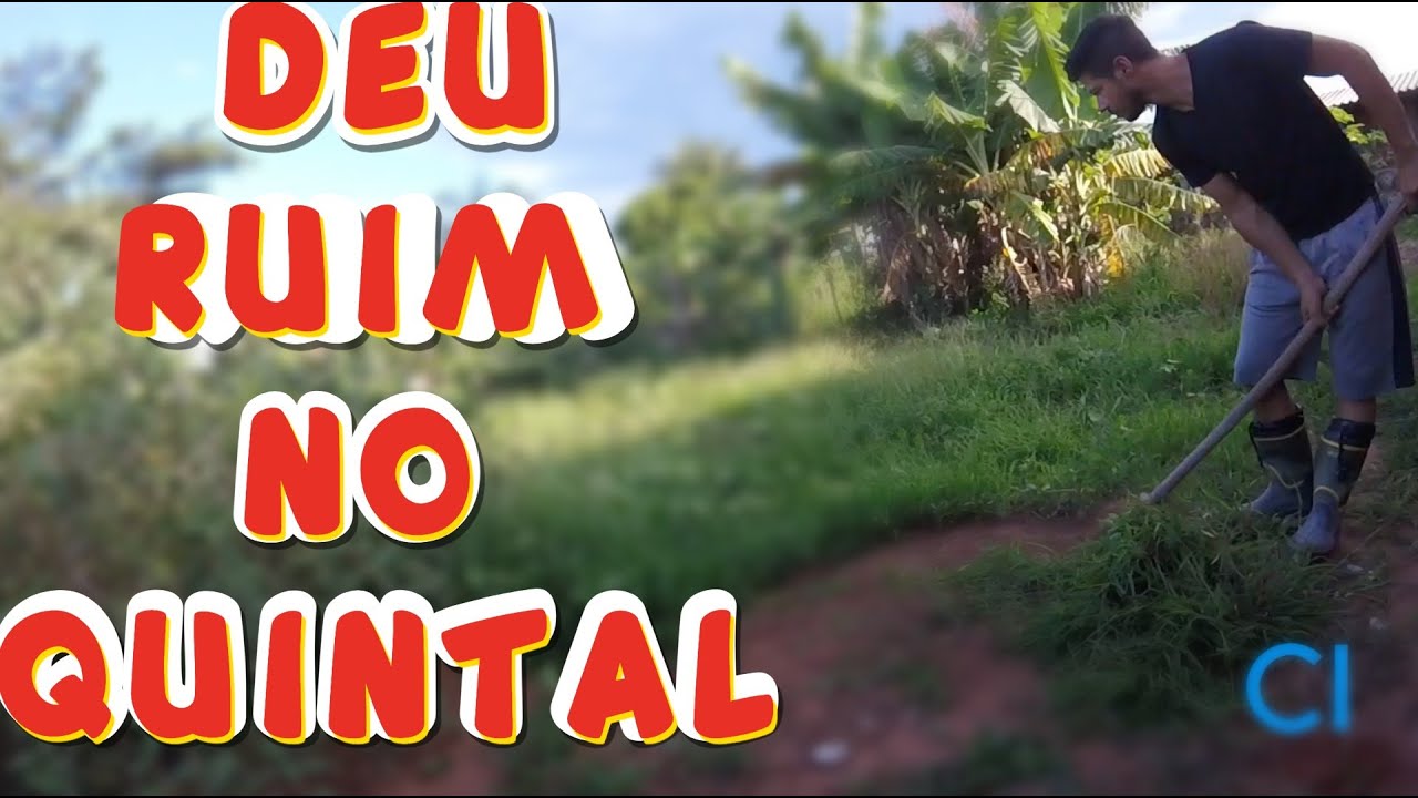 Deu ruim no quintal!  será q dou conta de limpar?