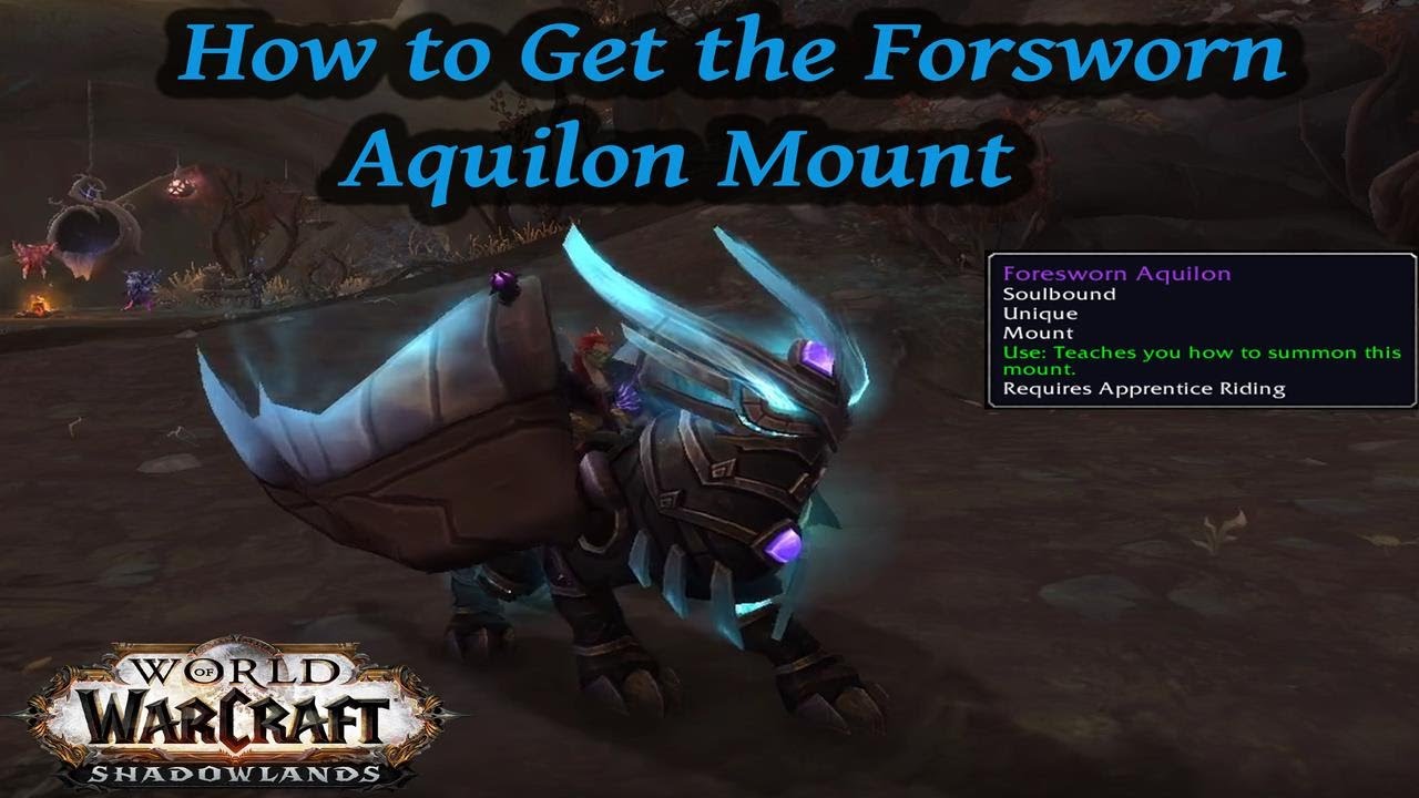 Looting the Forsworn Aquilon Mount in Korthia ~ World of Warcraft
