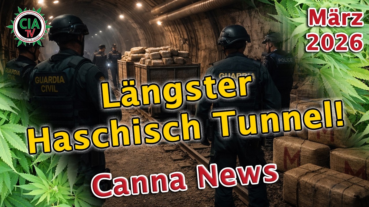 Canna News M&auml;rz 2026 &ndash; L&auml;ngster Haschisch Tunnel der Welt, Deutschland, &Ouml;sterreich, USA