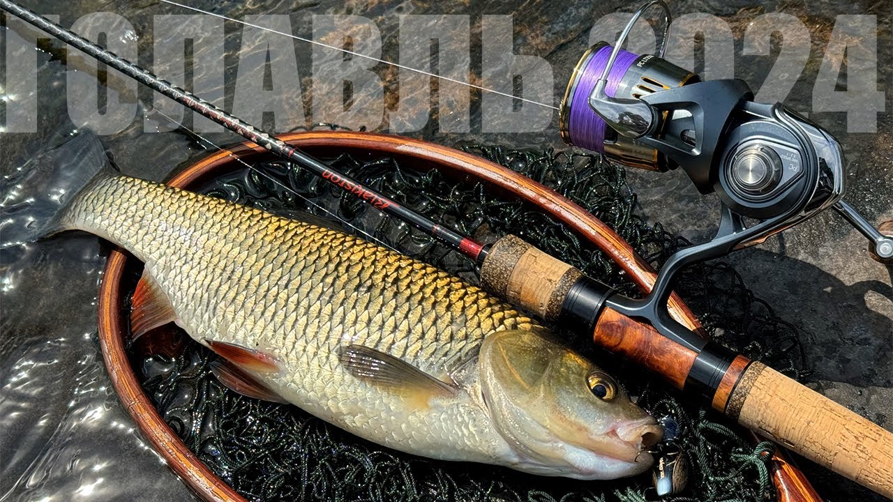 Голавль 2024🎣 Выбор спиннинга и открытие сезона!