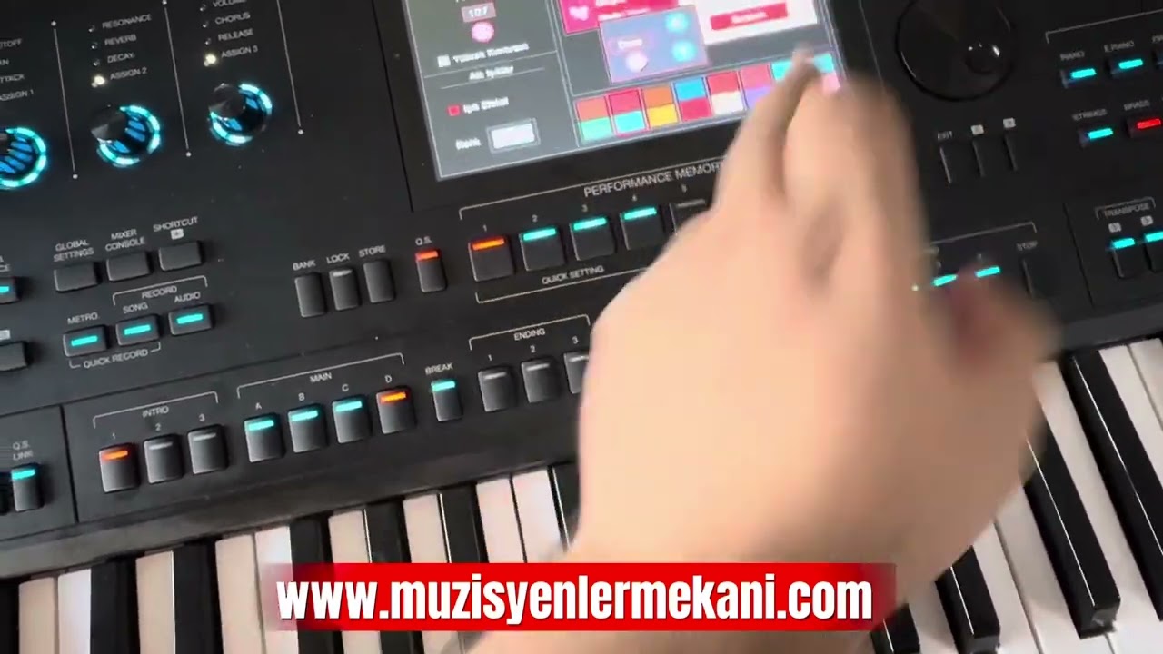 Dante Zen ücretsiz Hediye 2/4 Ritim Volkan Müzik İzmir