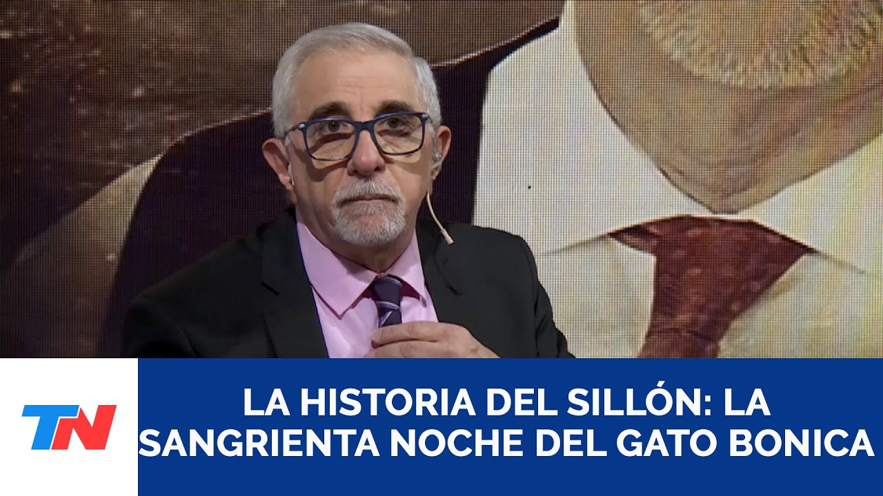 LA HISTORIA DEL SILLÓN: LA SANGRIENTA NOCHE DEL GATO BONICA Cámara del Crimen, 14/2/26