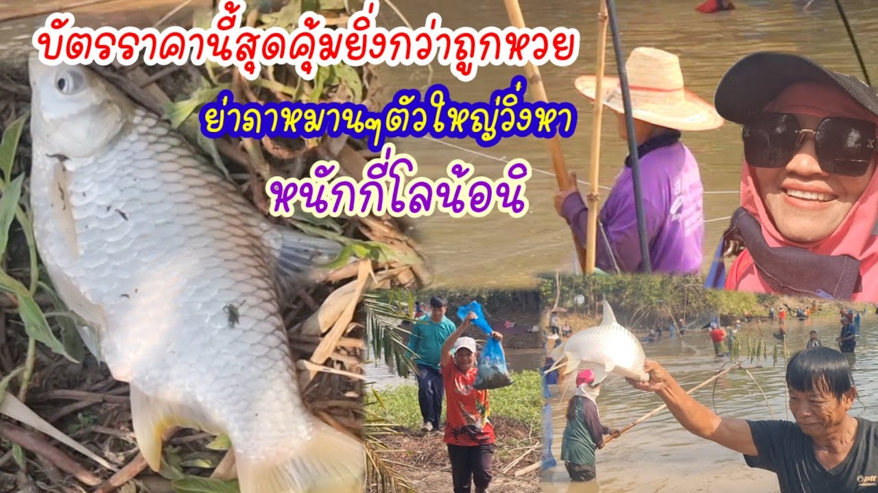 ย่าภาจับปลาหมานๆได้ตัวใหญ่?บัตรราคานี้สุดคุ้มยิ่งกว่าถูกหวย?