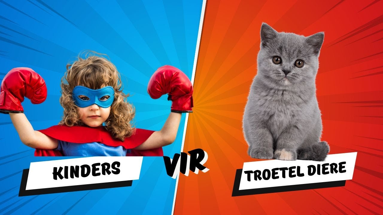Troeteldiere tema + PDF werkkaart #kleuters #kinders #lami #afrikaans