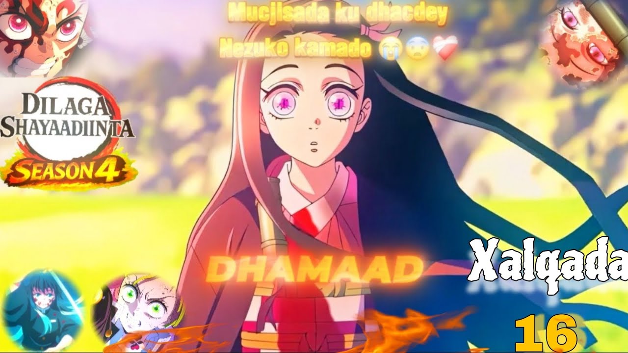 Animega Demon slayer || Soo bixida Qoraxda io nezuko kamado 🤯|| Season 4️⃣| Xalqada 16 🔥@abassenbai 