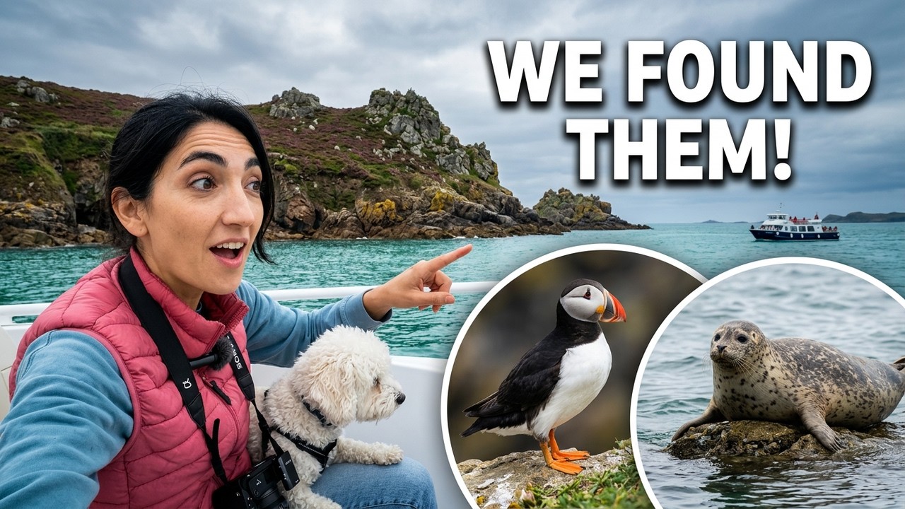 Boat Tour to the 7 Islands from Perros-Guirec (Puffins & Seals in Brittany)