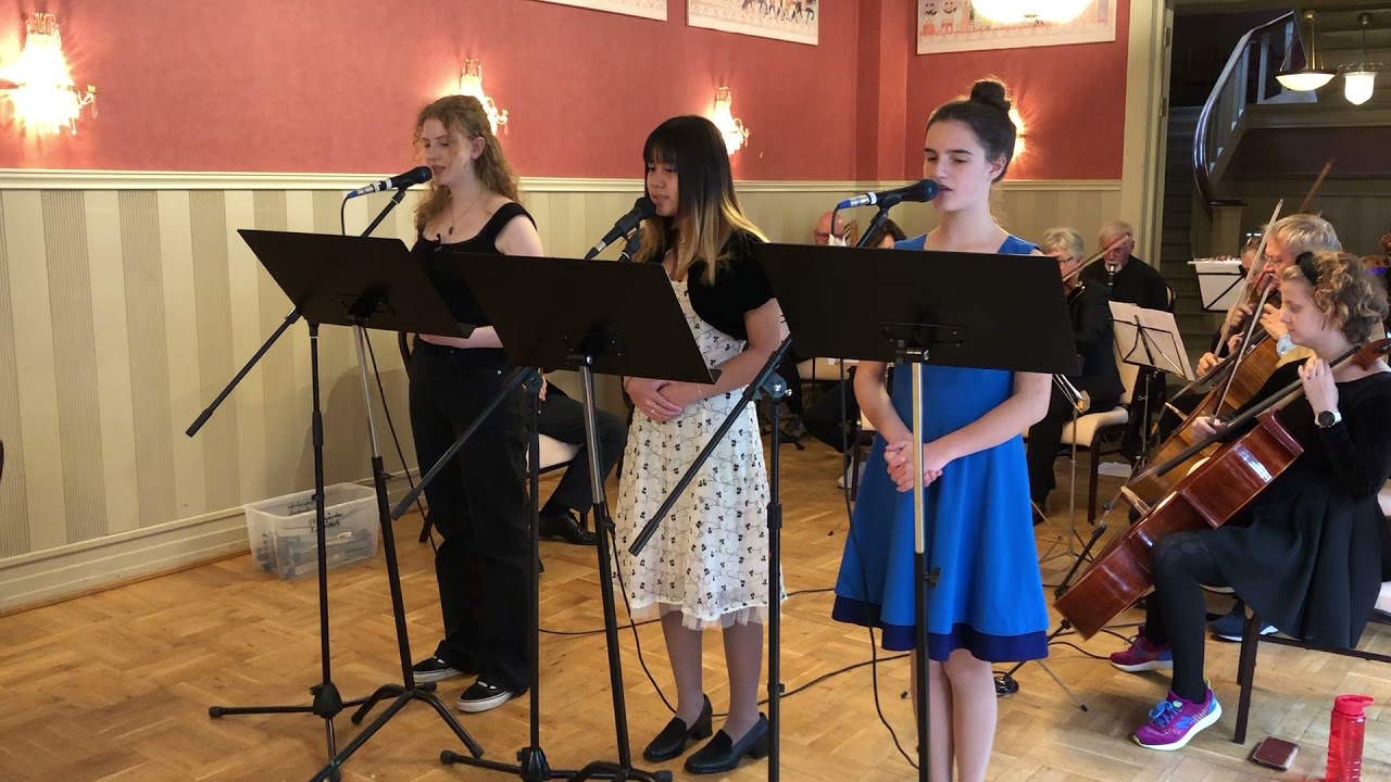 Tulipaner fra Amsterdam (Ralf Arnie)