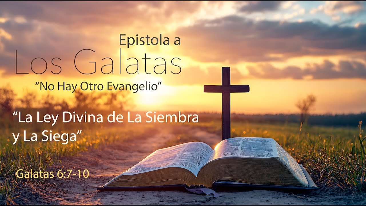 Galatas 6:7-10 