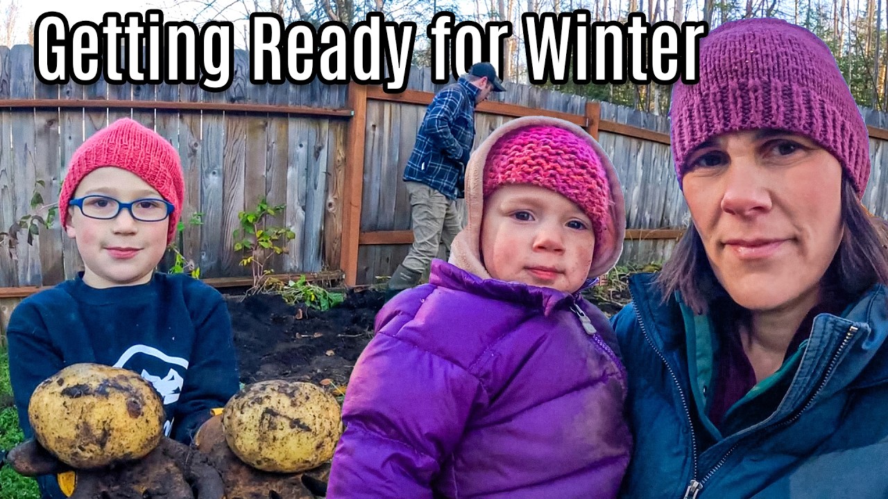 From Dirt to Dinner:  POTATO Harvest, Putting the Garden to Bed, and Hearty Moose Roast Finale
