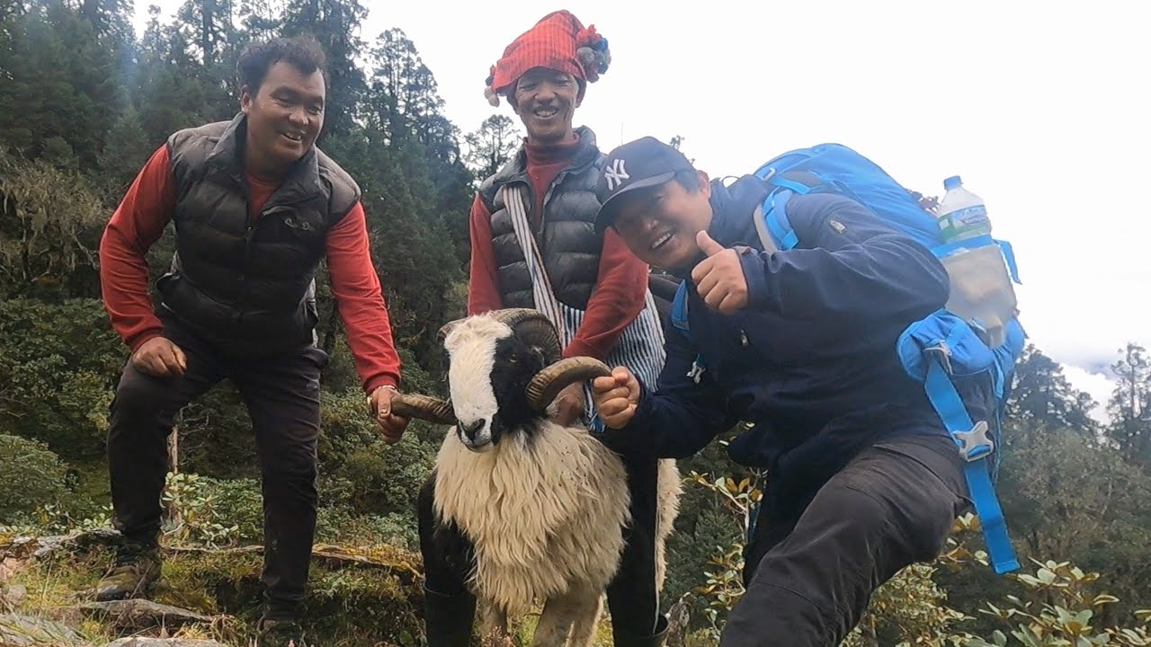 यात्रा रूबी भ्यालीको - पाङ्साङ् पासबाट टिप्लिङ् सम्म | Ruby Valley Trek - Pangsang Pass to Tipling