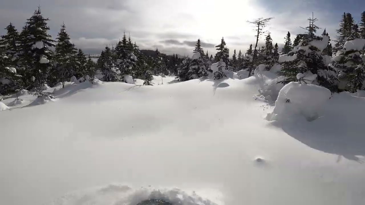 Mont Valin, Motoneige Hors Piste, F&eacute;vrier  2025, dans une coupe en bande