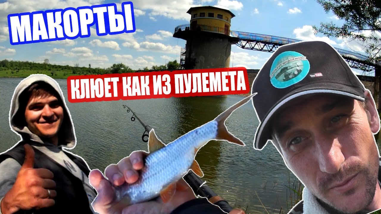 МАКОРТЫ / ЛОВЛЯ ПЛОТВЫ НА СКОЛЬЗЯЩИЙ ПОПЛАВОК / НА ХЛЕБ #макорты #плотва #ловля #рыбалка #поплавок