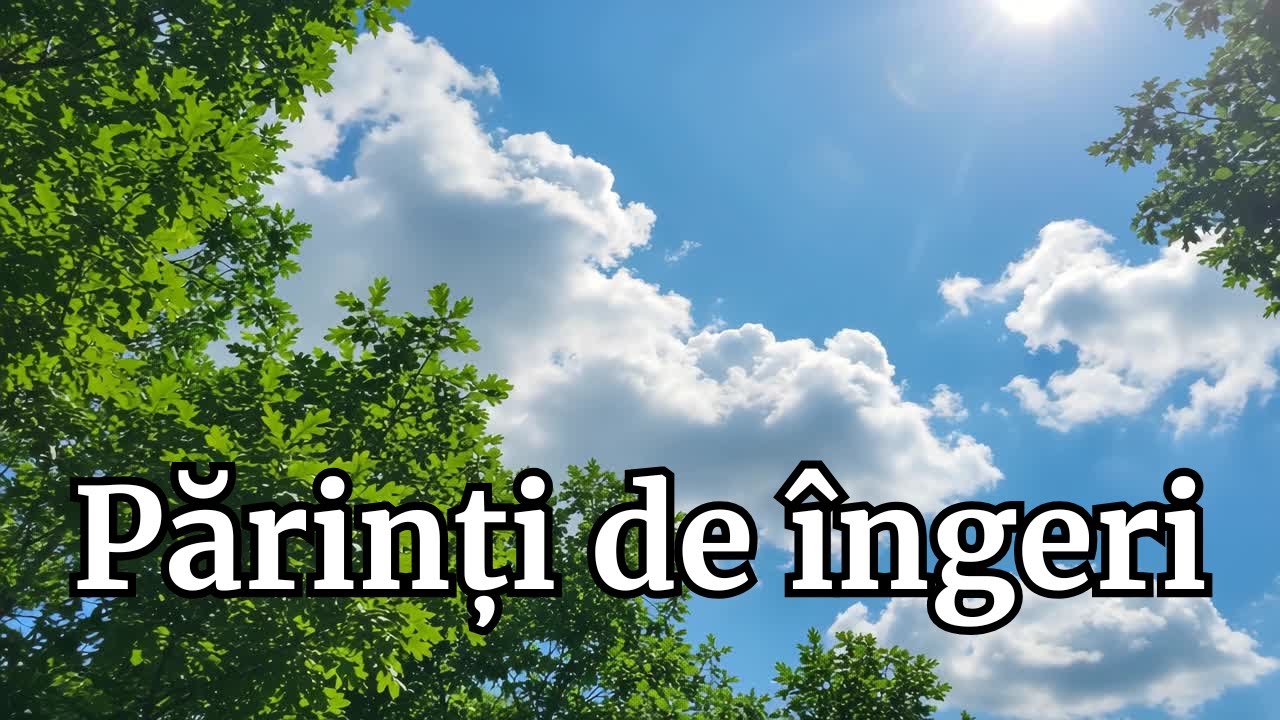 Dor & Ritm &ndash; Părinți de &icirc;ngeri | C&acirc;ntec dedicat tuturor părinților care și-au pierdut un copil 🕊️💔