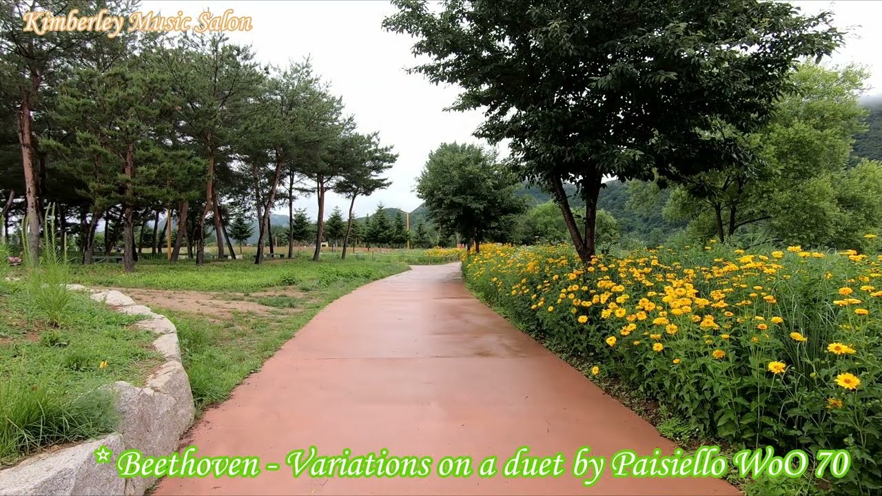 Beethoven - Variations on a duet by Paisiello WoO 70