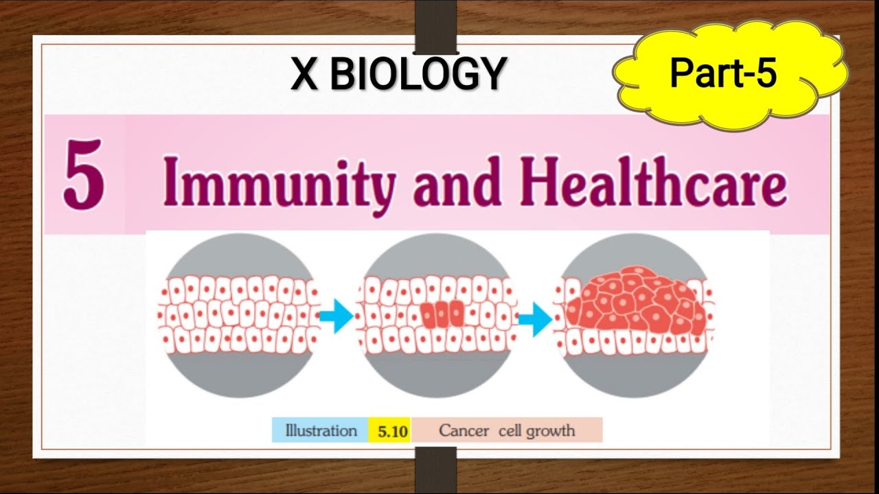 Immunity and health care  SSLC biology  chapter 5 class10  Part 5 Non contagious diseases, Cancer