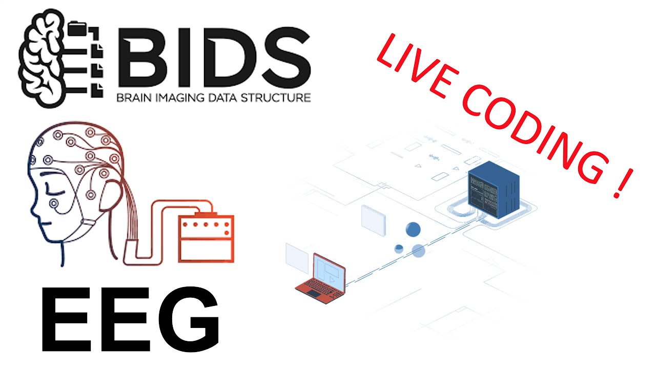 Exporting data using the BIDS EEGLAB plugin - live coding session
