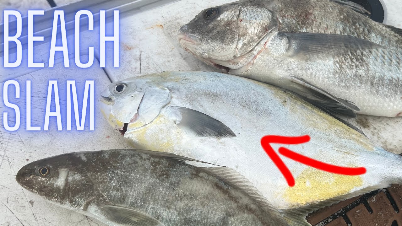 Beach Slam?  How to Surf Fish Beginners Surf Fishing Florida for Pompano Whiting and Black Drum