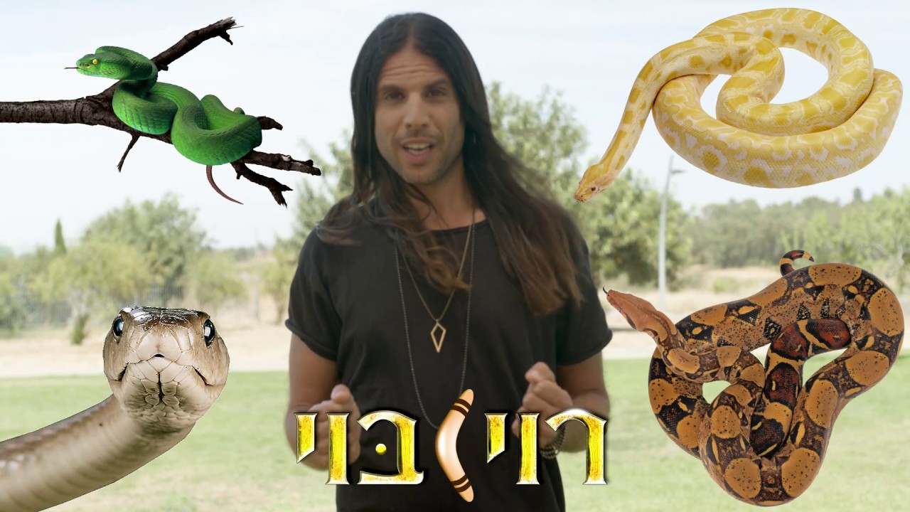 בואו נדבר על נחשים... לפני שניתקל בהם :)