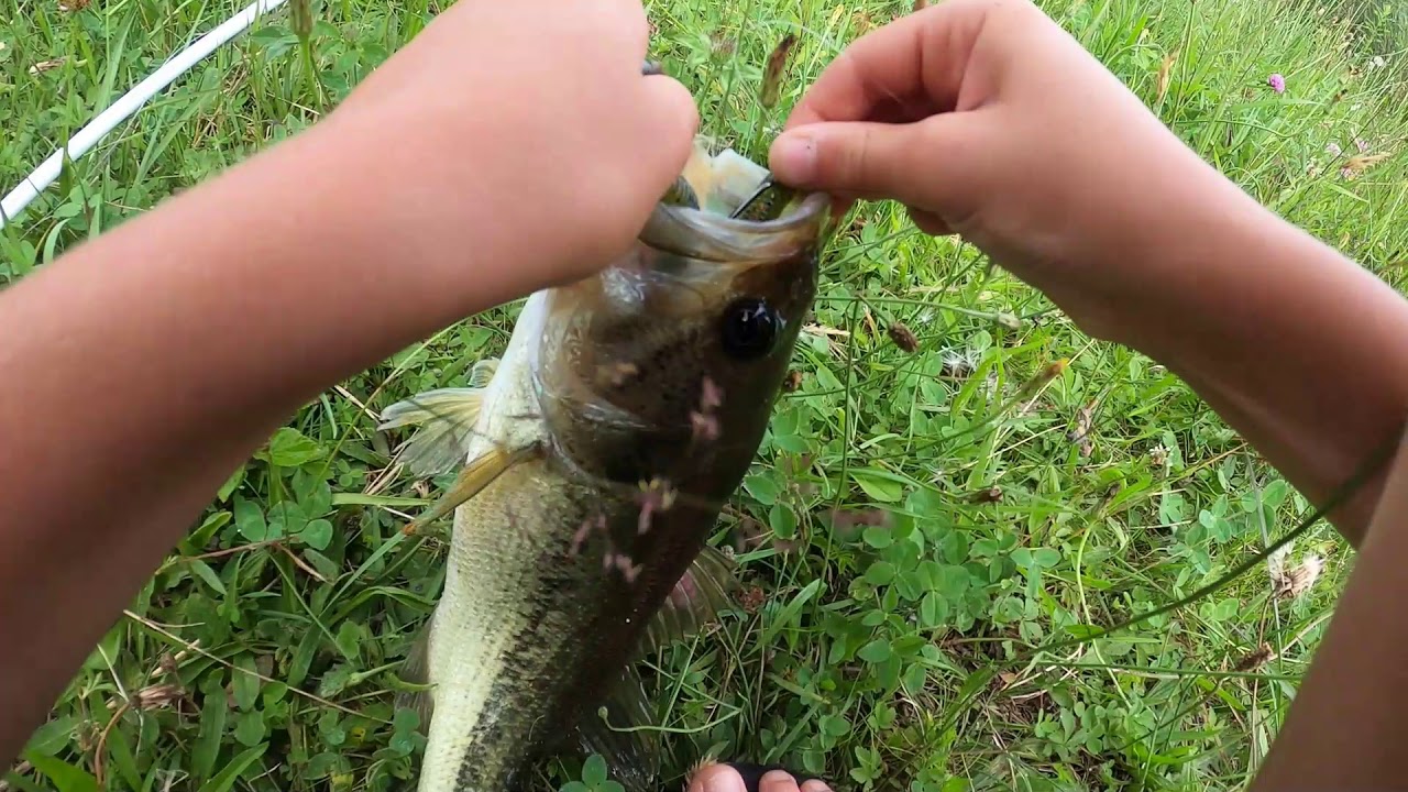 Bass Fishing July 4