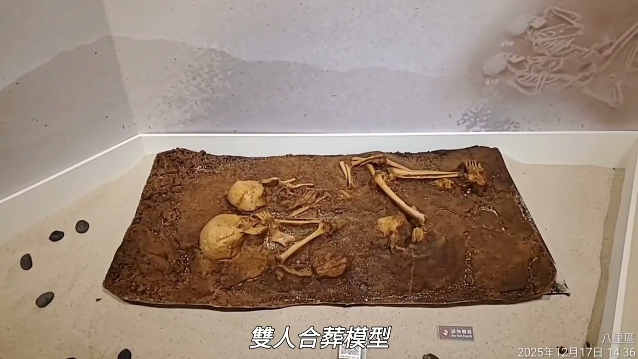 新北市八里十三行博物館
