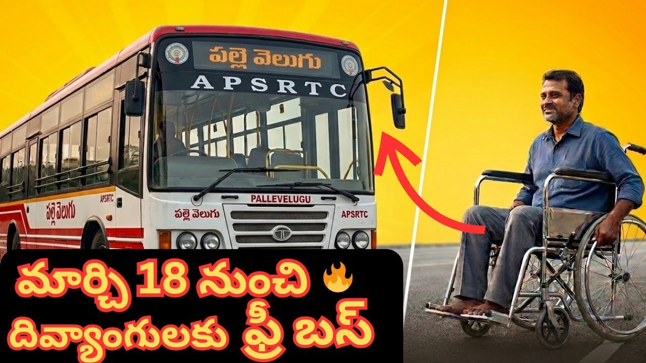 AP Free Bus for PWD | Indradhanusu Scheme Latest Update |March 18 Start?#disability #freebus#apgovt 