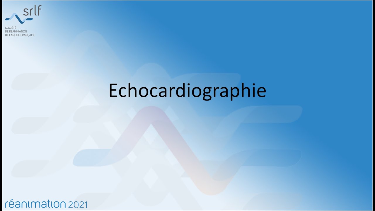 Echocardiographie A. MEKONTSO DESSAP #REANIMATION2021