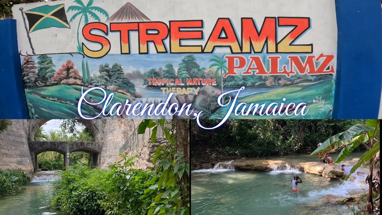 Streamz Palmz
