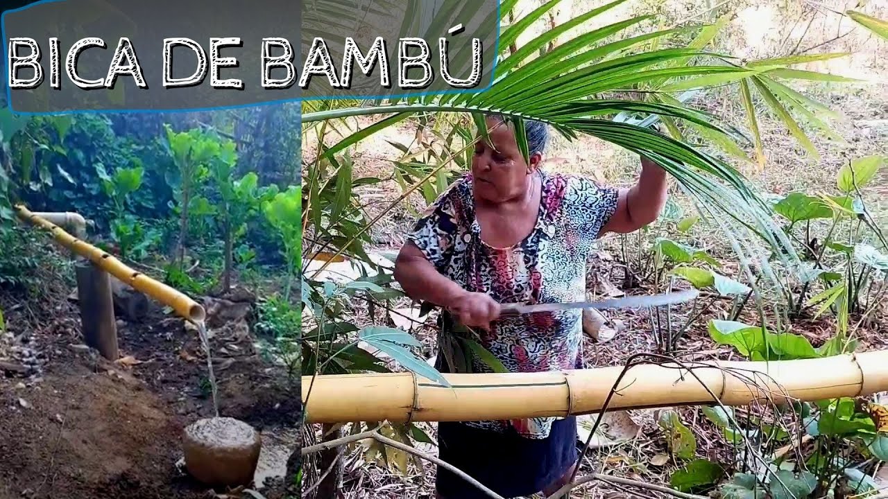 Início do projeto da BICA DE BAMBÚ AMARELO - A torneira de antigamente