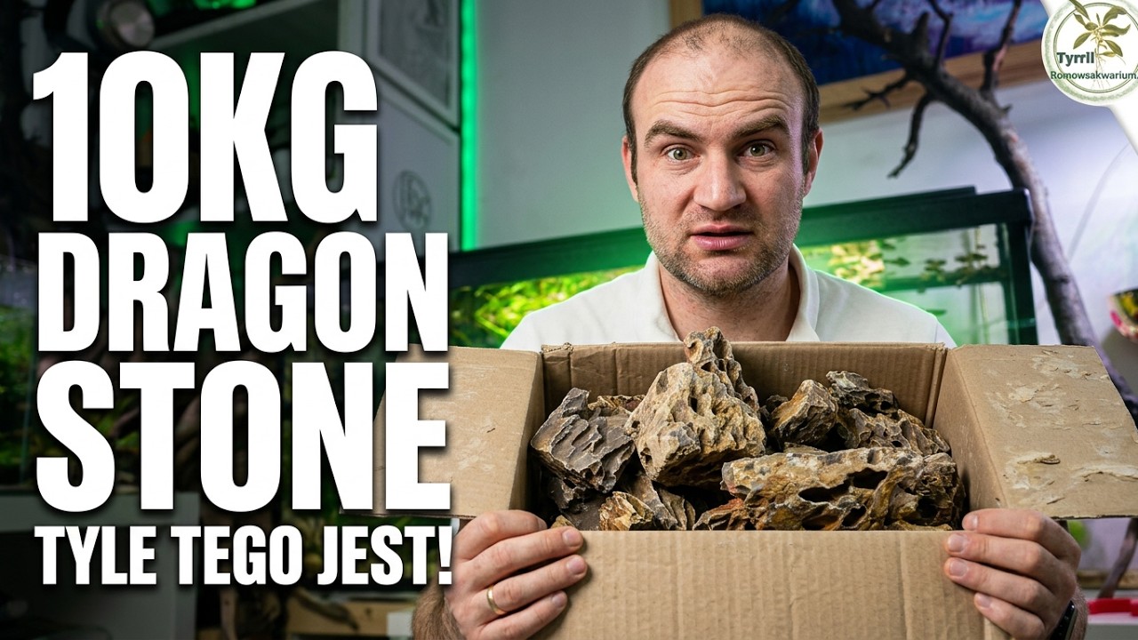 What does 10KG⛰️ dragon stone 🧐 look like?