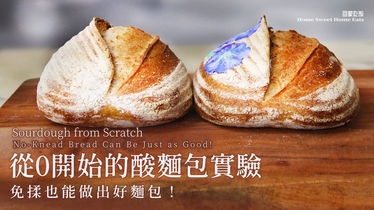 從0開始養酵種｜酸麵包實驗｜Sourdough Bread | Anova  Oven | No Discard｜零丟棄｜免揉｜