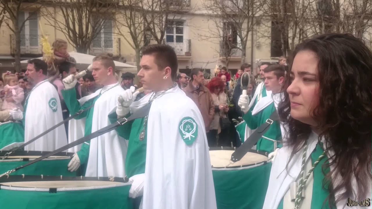 Procesión del Domingo de Ramos   2016   Logroño
