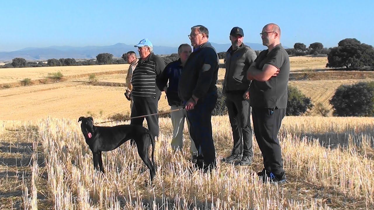 Preliminares a provinciales Cazadores de Madrid  15 10 2022  