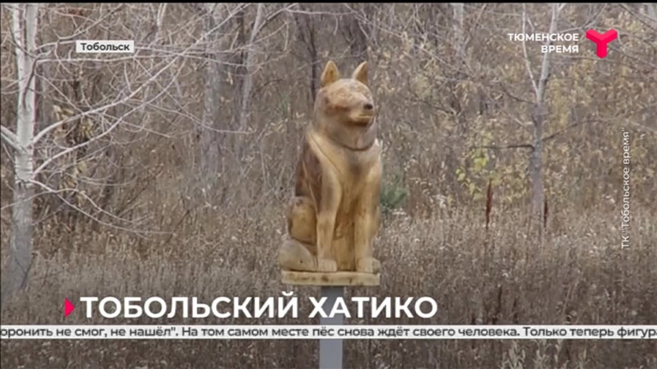 Тобольский Хатико
