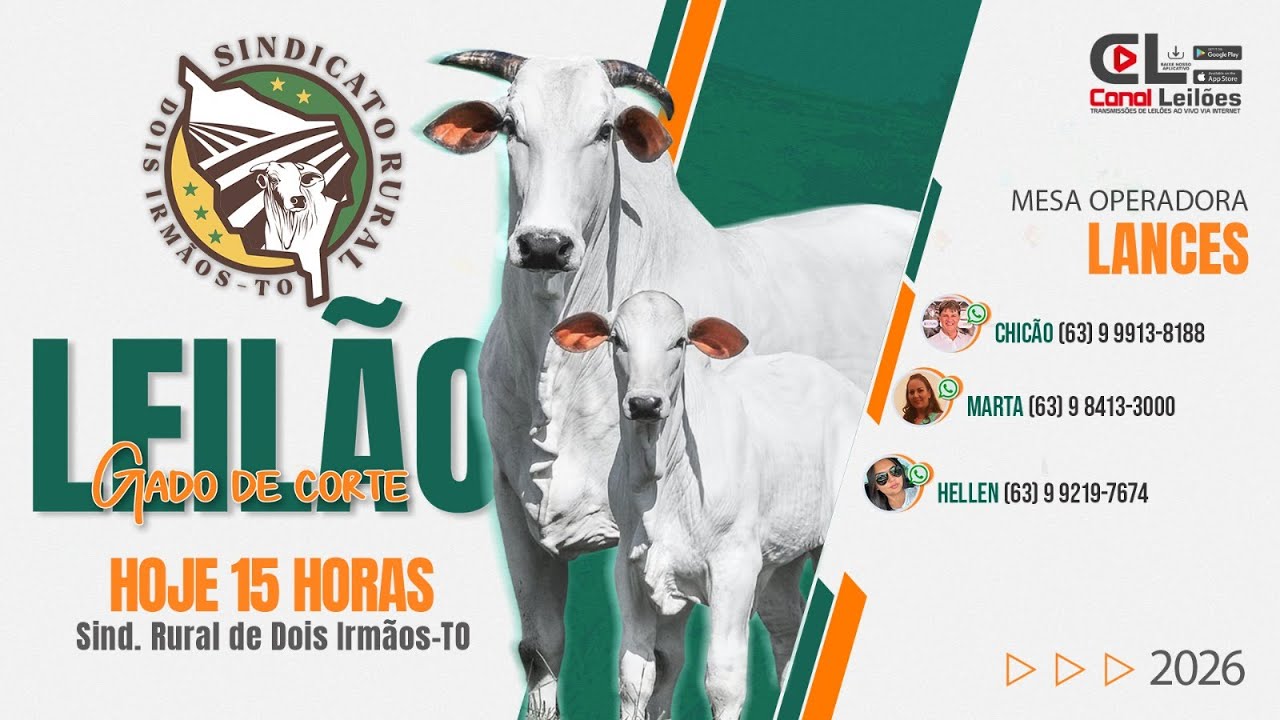 LEILÃO GADO DE CORTE  - SIND. RURAL DE DOIS IRMÃOS | 20/03/2026