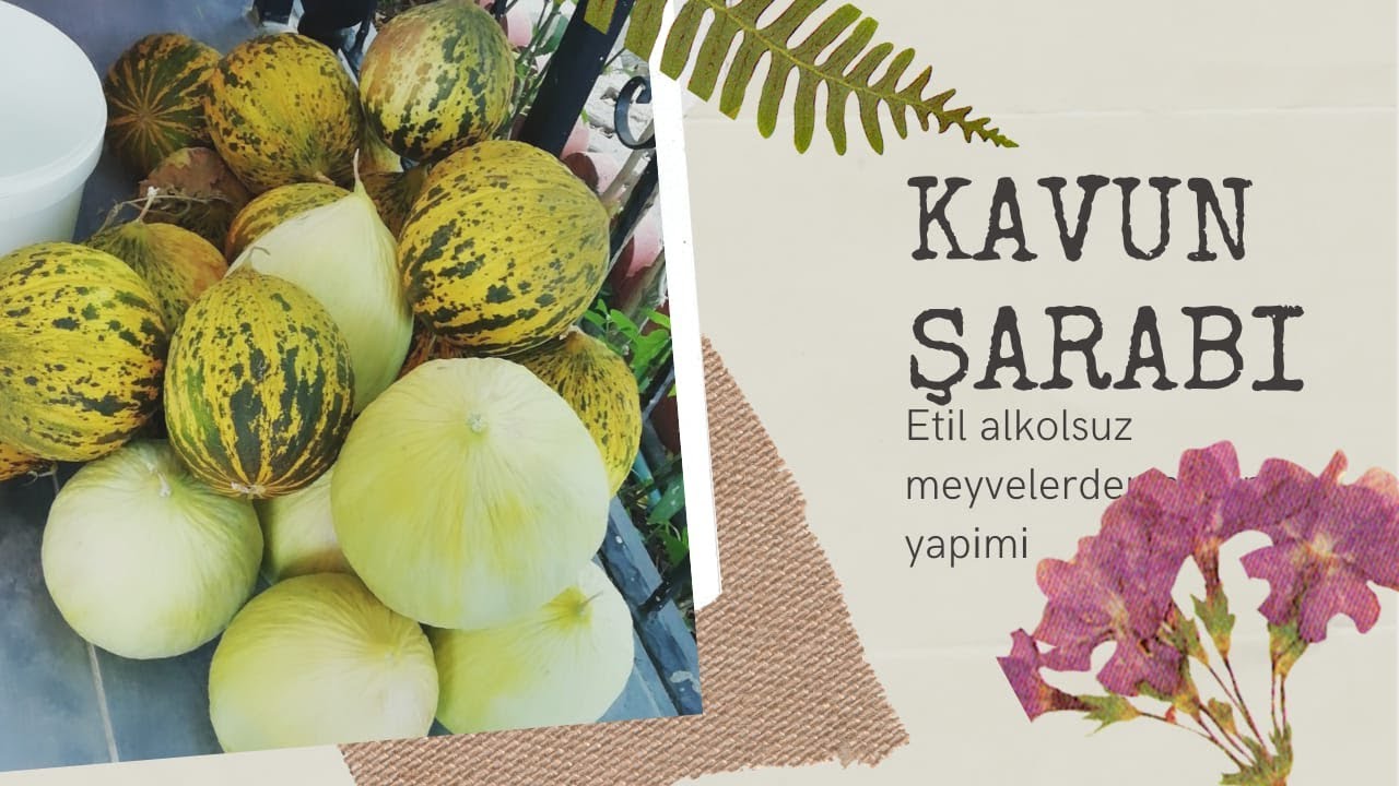 Evdeki Meyvelerden Etil Alkolsüz Doğal Şarap Yapımı KAVUN ŞARABI