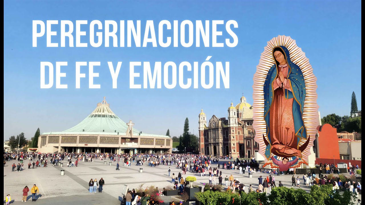¡MILLONES de Peregrinos llegan a la BASÍLICA de GUADALUPE! -- Así es la fe en México