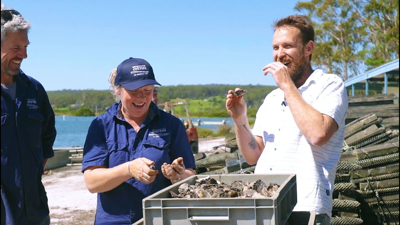 South Coast NSW oyster documentary, with Paul West & farmers.