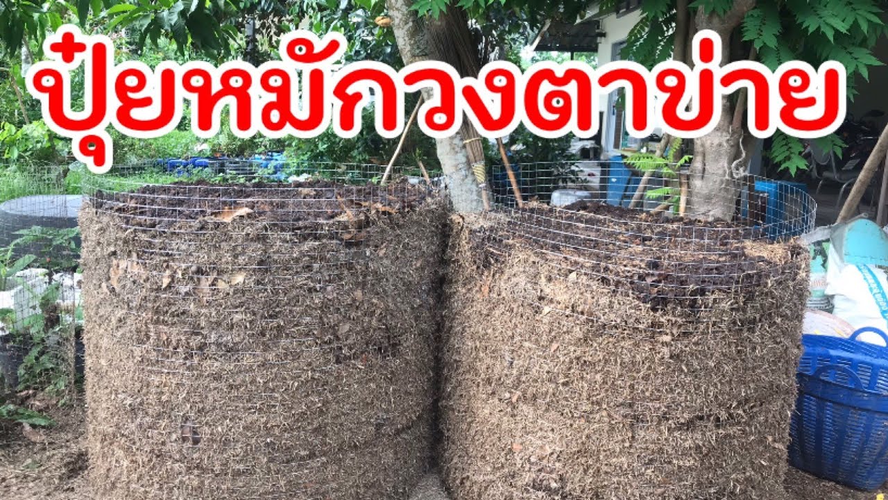 127/วิธีทำปุ๋ยหมักวงตาข่าย แบบไม่พลิกกอง #สูตรวิศวกรรมแม่โจ /Compost /ตั้มเกษตรพอเพียง เกษตรมือใหม่