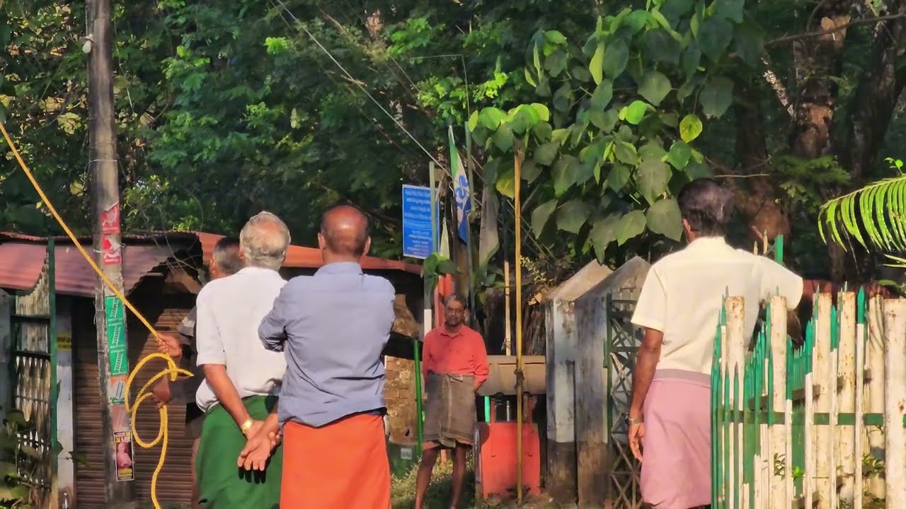 A Giant Tree Fell… Our Shade, Oxygen & Birds’ Home Are Gone|നാട്ടുവളർത്താൻ ചിലർക്ക് മാത്രമേ സാധിക്കൂ