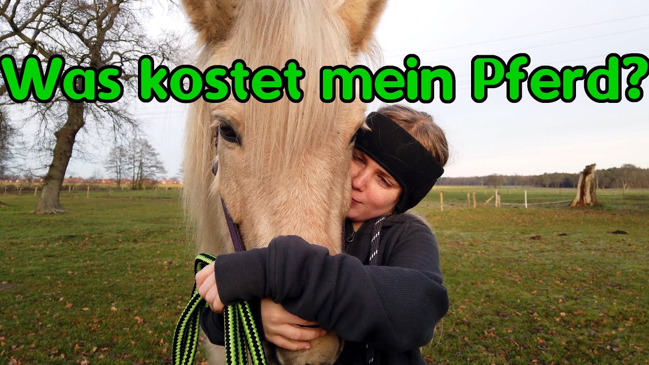 Was kostet mein eigenes Pferd?