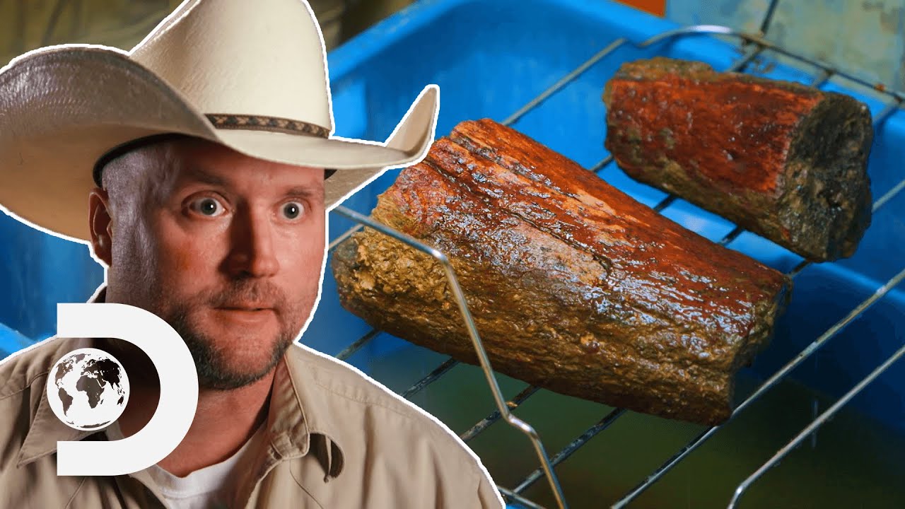 How a Triceratops Horn Fossil is Cleaned and Preserved | Dino Hunters