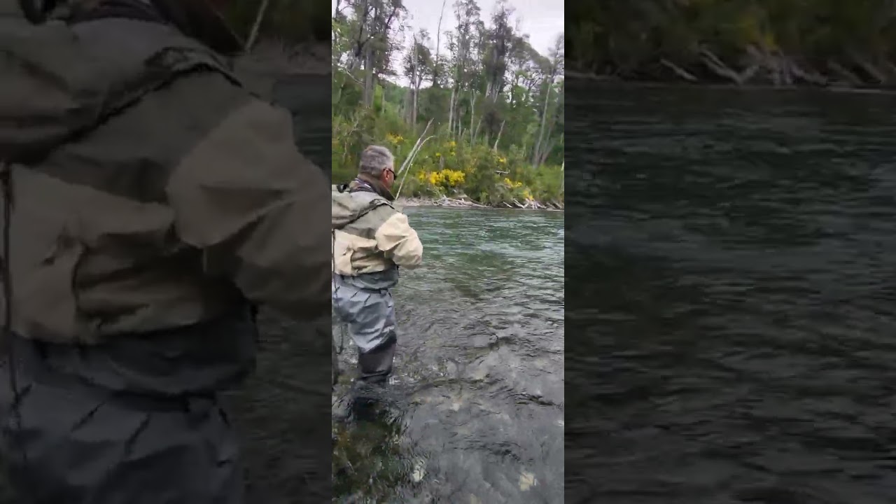 Ninfiando en Patagonia nov 2025, Argentina. Fly fishing reports