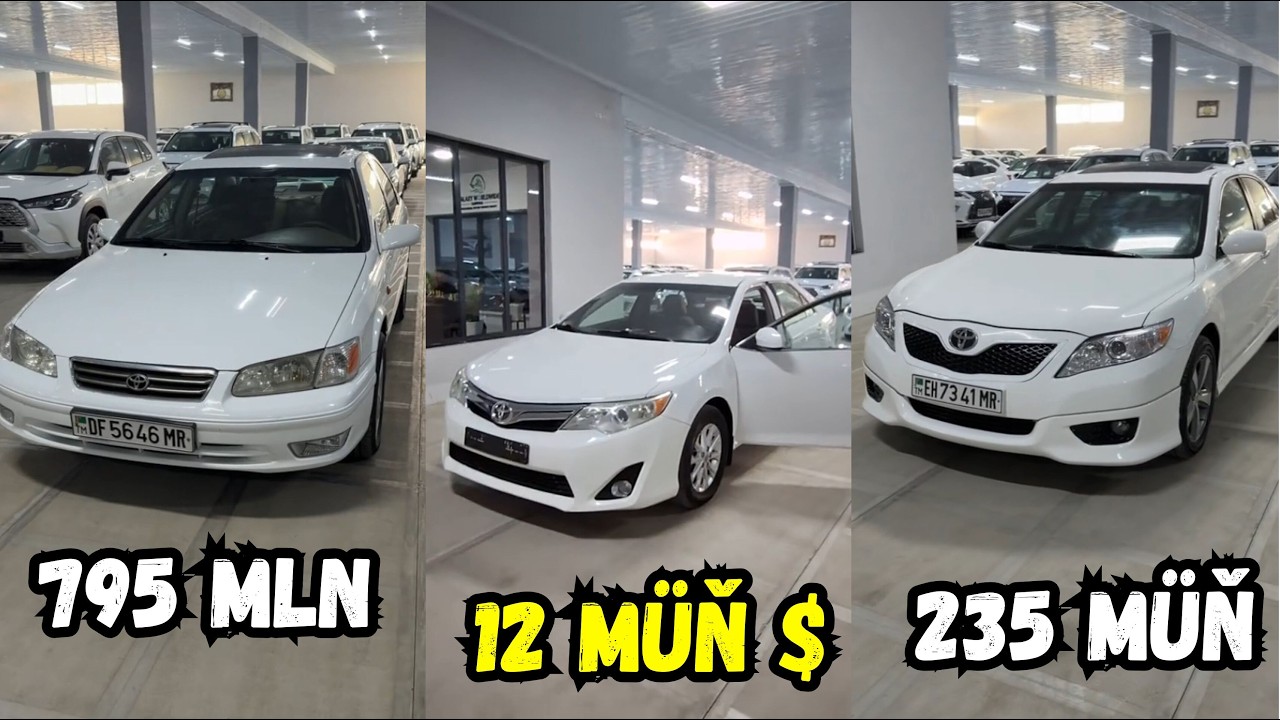 Lisiçka Camry Palta Camry Öküz Kelle We Mordalar