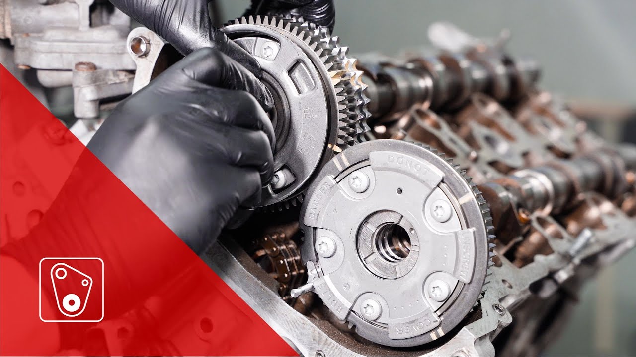 𝗧𝗶𝗕𝗔𝗢 𝗖𝗮𝗺𝘀𝗵𝗮𝗳𝘁 𝗔𝗱𝗷𝘂𝘀𝘁𝗲𝗿𝘀