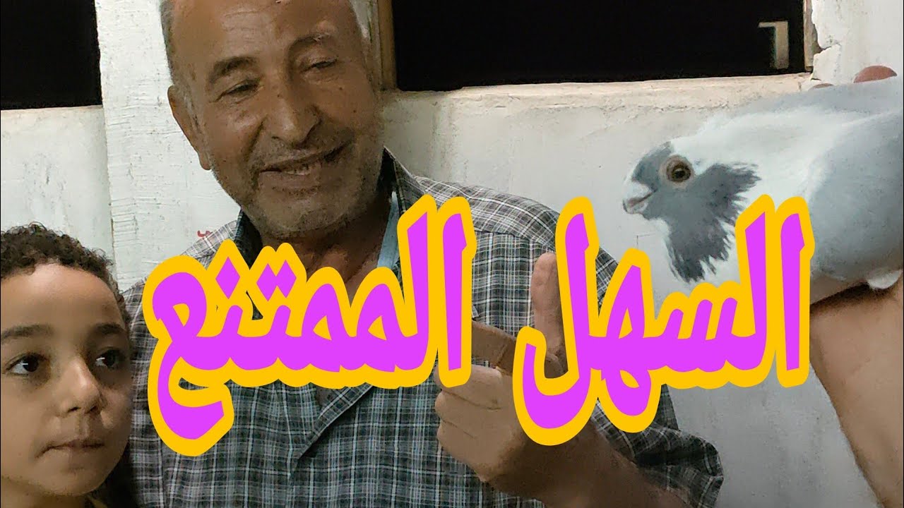 في حته تانية#الابلق_الاخضر الحاج فرحات