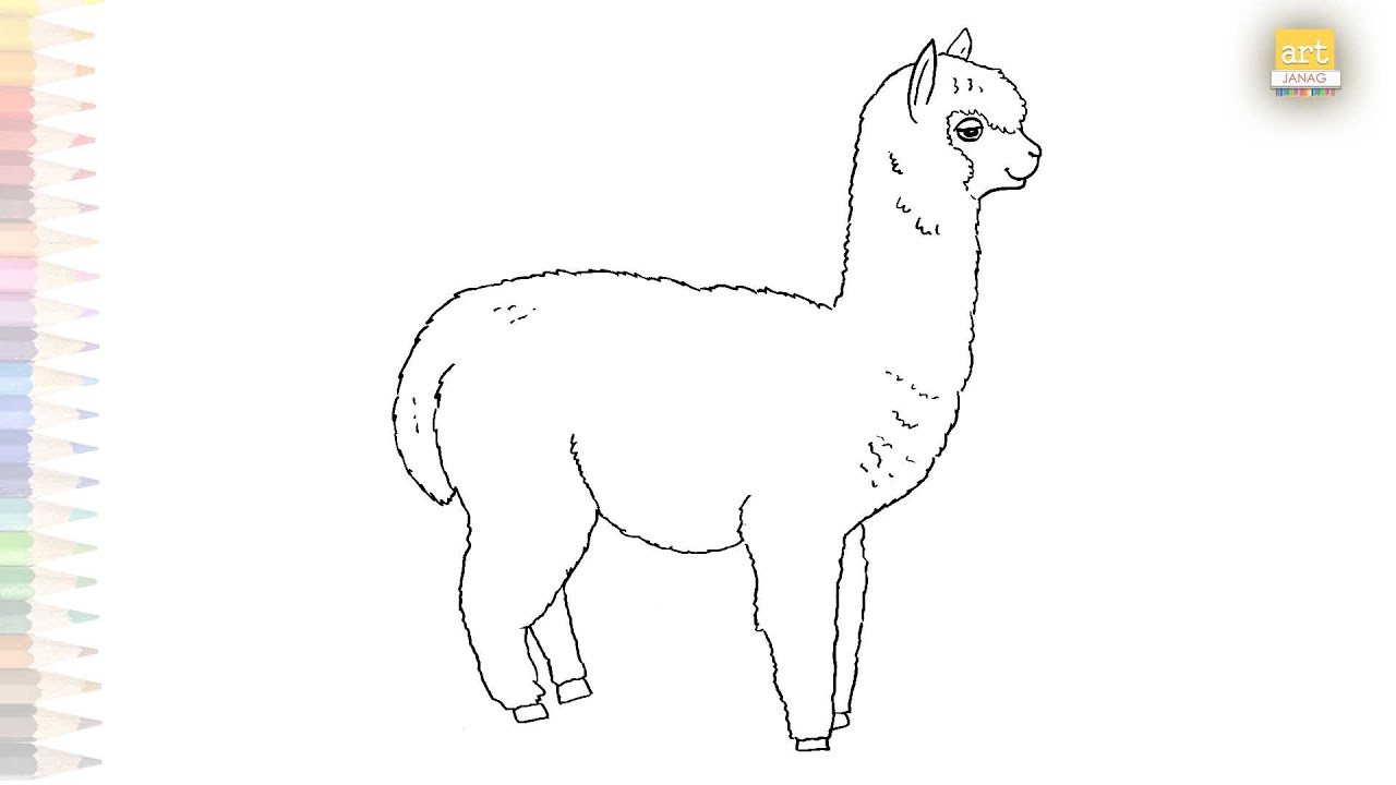 Llama outline sketches | Animal sketches | How to draw A Llama step by step | #artjanag